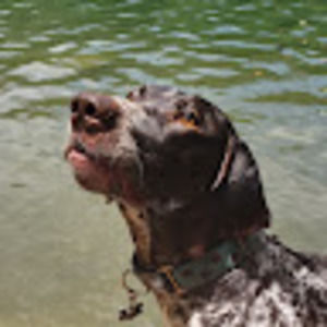 Meet your Posher, Rosandrys